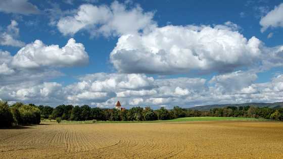 5 types of land tenure system in Nigeria: Complete guide