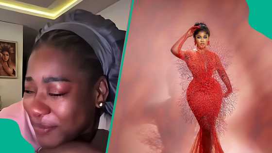 BBNaija Phyna Apologises to Nigerians, Police Over False Alarm: “They Found Small Substance on Him”