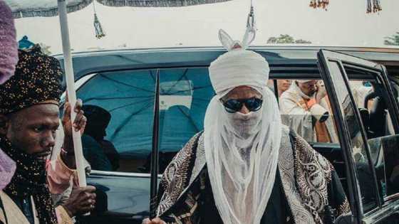 Yaron Sanusi II Ya Fadi Ainihin Laifin Mahaifinsa da Ya Jawo Ganduje Ya Tsige Shi