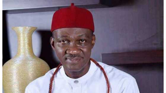 Idan NDDC ta saki sunayen wadanda ta ba kwangila sai zaman lafiya ya kare a Nigeria - Cairo