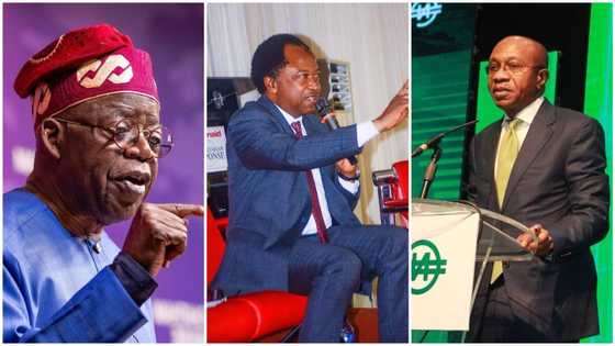 Tinubu's inauguration: Senator Shehu Sani predicts what will happen to Emefiele after Buhari's exit