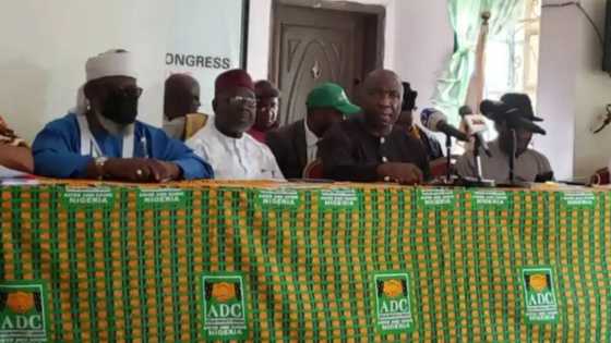2023: How APC, PDP, ADC, others stand as parties roll out prices for nomination forms
