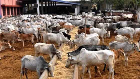 List of states that have begun ranching, rejected it