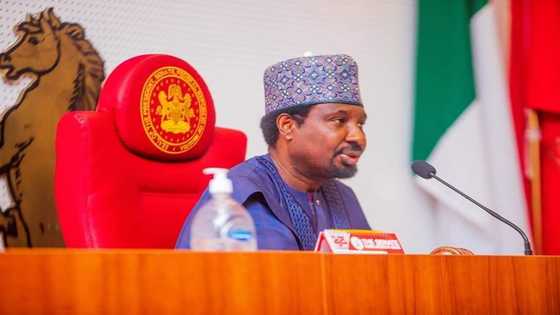 Mataimakin Shugaban Majalisar Dattawa Ya Magantu Kan Hukuncin Kotu Ƙoli, Ya Aike da Sako Ga Atiku da Obi