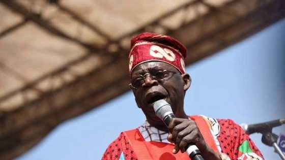 2 possible reasons Bola Tinubu is contesting for 2023 presidency