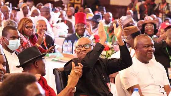 Jagora a Jam’iyyar LP Ya Dawo APC, Yace Peter Obi Ba Za Su Kai Labari a 2023 ba