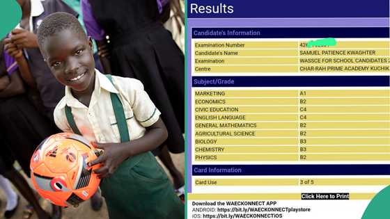 WAEC 2024 result of girl who got 237 in UTME surfaces online, causes commotion