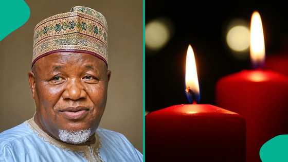 "Painful": Dickson reacts as bandits 'kill' former Nigerian lawmaker Adamu despite ransom payment