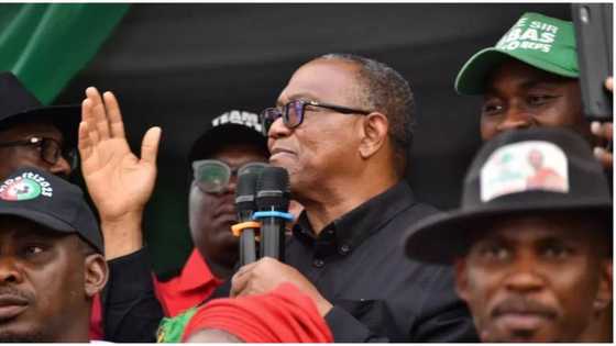 5 controversies courted by Peter Obi of the Labour Party