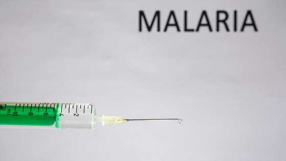 Historic moment as WHO approves first malaria vaccine in the world