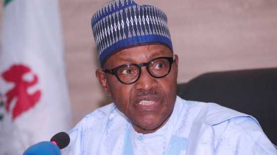 Bullar Coronavirus ya kawo cikas ga kudaden shigar Najeriya - Buhari