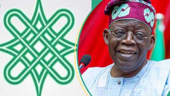 Arewa Forum blasts Tinubu for blaming Nigeria's economic woes on Buhari: "You never came prepared"