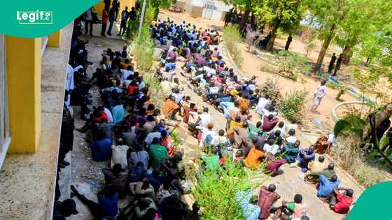 An ama daruruwan 'yan daban da suka hana jihar Kano zaman lafiya