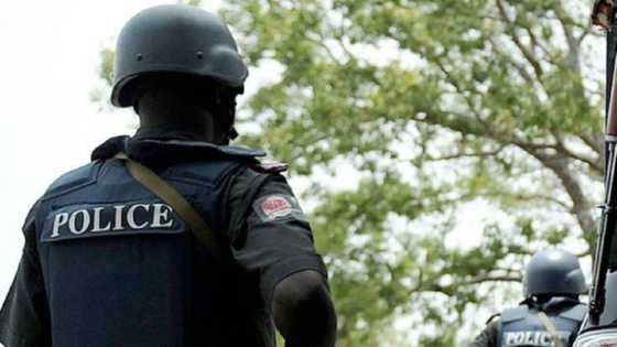 Babban Magana: 'Yan Sanda Sun Cafke 'Aljani' Da Ya Yi Yunƙurin Yin Damfarar N2.2m a Borno