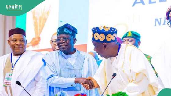 Ana cikin rade-radin dawowar Ƙwankwaso APC, Ganduje ya sha sabon alwashi kan abu 1