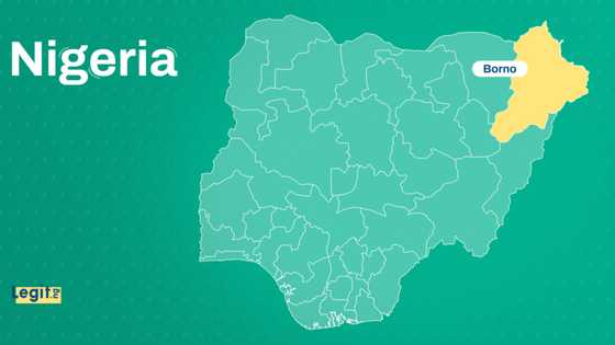 Tragedy as ISWAP terrorists Kill 6 villagers in fresh Borno attack