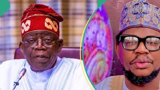 Prominent APC chieftain speaks amid Tinubu’s CSU certificate saga
