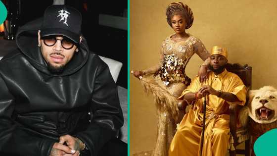 Chivido: Fans hope to see Chris Brown at Davido’s wedding after US star asked to be a groomsman