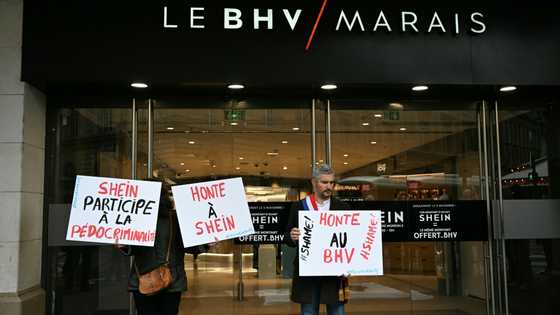 Shein vows to cooperate with France in childlike sex doll probe