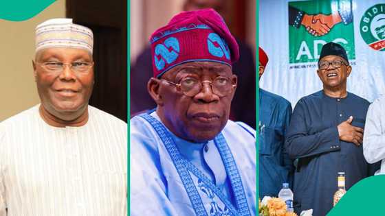 List of major political events expected to happen in Nigeria in 2026