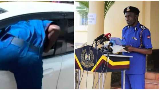 Big trouble for policeman who 'flew' inside man's car through window, he will face disciplinary action