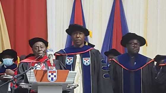 Ka cancanta: Jami'ar Afe Babalola ta karrama Zulum da digirin digirgir