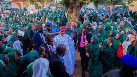 Abba ya kinkimo manyan ayyuka duk da kotun daukaka kara ta tsige gwamnatin NNPP