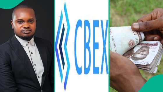 Cbex: Man vividly explains how Ponzi schemes convince Nigerians to invest millions in money doubling