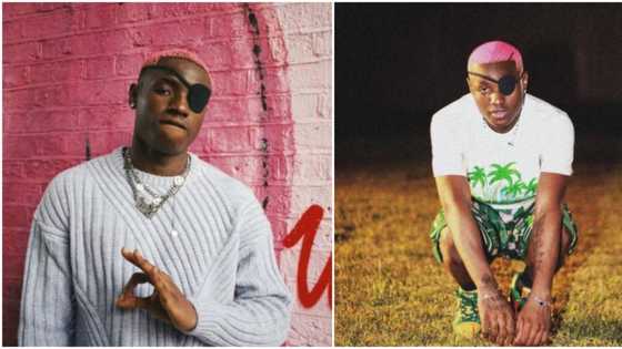 "I'm grateful": Reactions trail Ruger's post as he appreciates his fans for keeping Asiwaju at No1 for a month