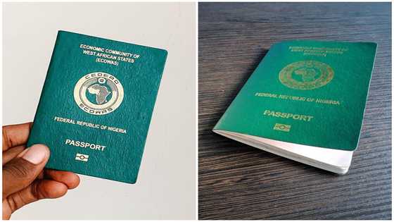 How to get an international passport in Nigeria: types, requirements, price