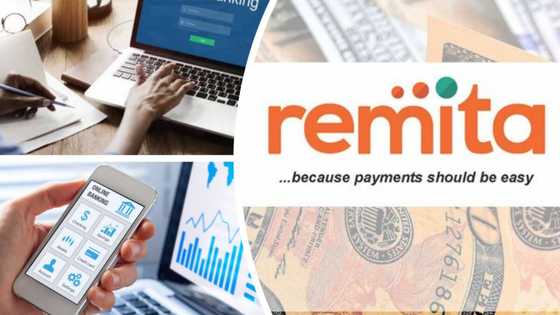 After being dumped by FG, Remita eyes expansion into other African countries