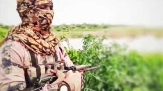 Boko Haram ta fitar da sabon bidiyo, ta tabbatar da ƙulla kawancenta da ƴan bindigan Niger