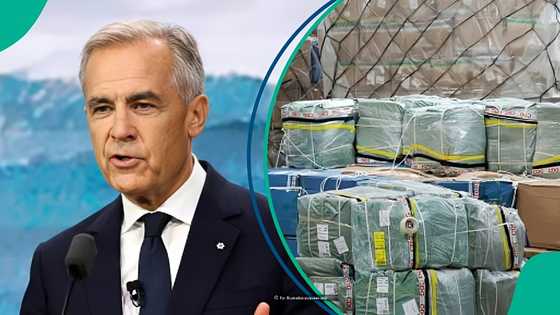 Canada lists 3 types of goods travellers can import without paying customs duty