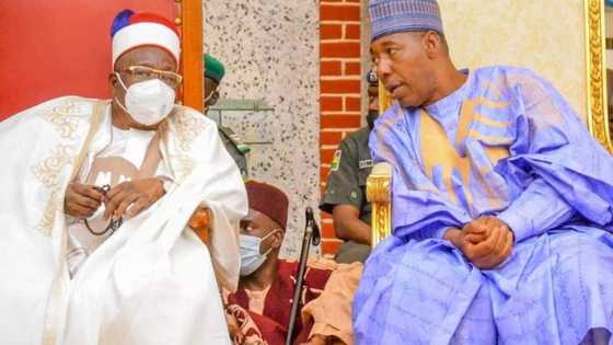 Bikin 13: Gwamna Zulum ya aike da sakon farin ciki ga Mai Martaba Shehun Borno