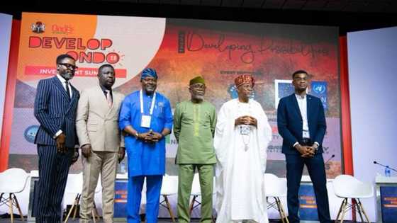 Tourism will drive investment and economic growth, says Kingsley Obiukwu