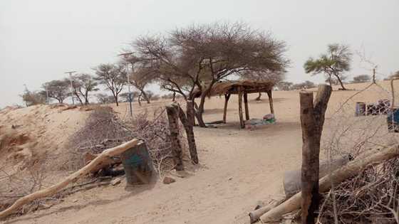 Boko Haram: Karamar hukuma a Yobe ta saka fitilun kan hanya 44 don magance kai hari