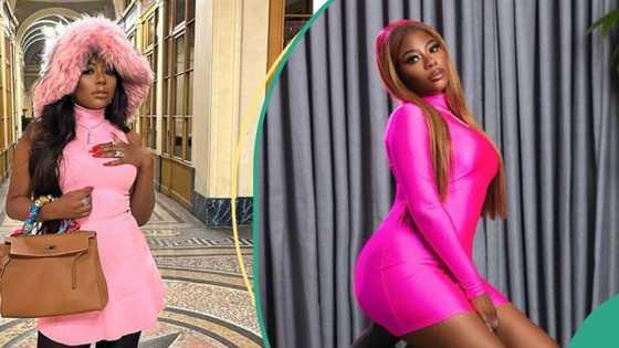 "Just wanna say thank u": Sophia Momodu calls out Davido's fan that tagged her Hermes bag as fake