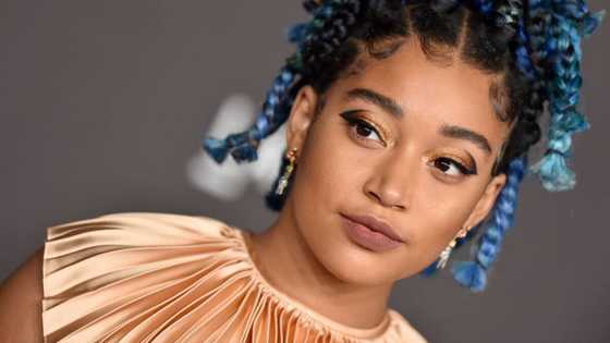 Amandla Stenberg bio: Incredible facts about the young and talented actor