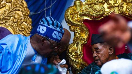 Magabatan Yarabawa za su ba ka nasarar zama shugaban kasa, Alaafin ga Tinubu