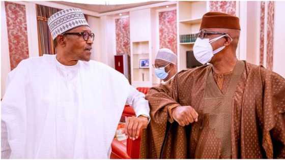 2023: This is when we'll know Buhari's successor - APC governor