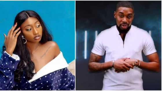 BBN: “Your character can’t make you win”- Doyin to Sheggz as he brags about being ideal winner, video trends