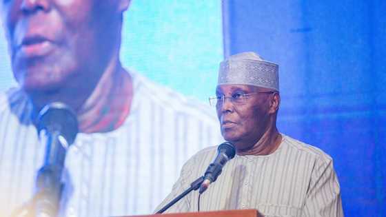 2023: Atiku reacts as Fayose insists on southern presidency