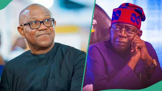 “Nigeria’s Donald Trump”: Peter Obi slams presidency over attempt to divert attention with US election