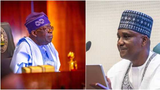 Yanzu Yanzu: Kakakin Majalisar Wakilai Zai Gana Da Tinubu, Cikakken Bayani Ya Bayyana
