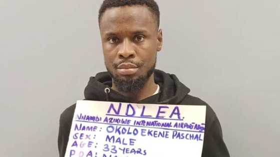 Abuja: NDLEA ta kama hodar iblis da aka yi mata basaja a jakunkunan ganyen shayi