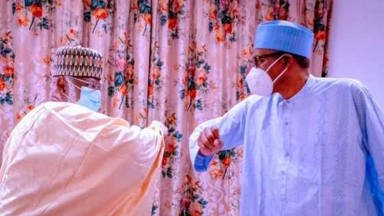 Da Dumi-Duminsa: Buhari Ya Karbi Bakuncin Abdulsalami da Marwa a Aso Rock