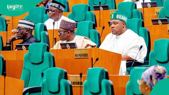Nigerian armed forces are now nightmares to terrorists, says Reps deputy spokesperson