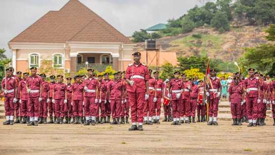 Insecurity: Amotekun to fight bandits, terrorists with animals