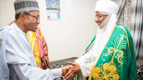 Emir Sanusi removal: Arewa Youth groups blame Buhari, northern elders for silence