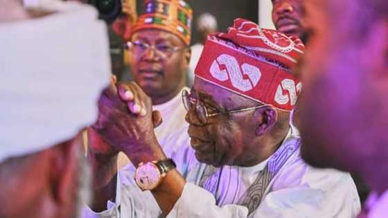 Ministan Buhari Ya Fayyace Komai Bayan An Ga Babu Sunansa Cikin Lauyoyin Tinubu